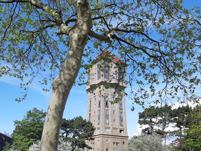 Oorspronkelijke bouwconstructie